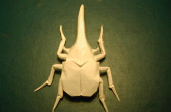 Hercules Beetle