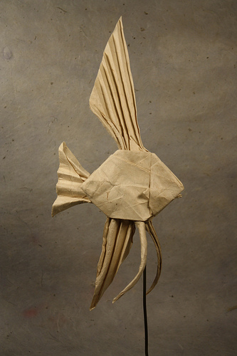 Origami Veiltail Angelfish Origami Veiltail Angelfish