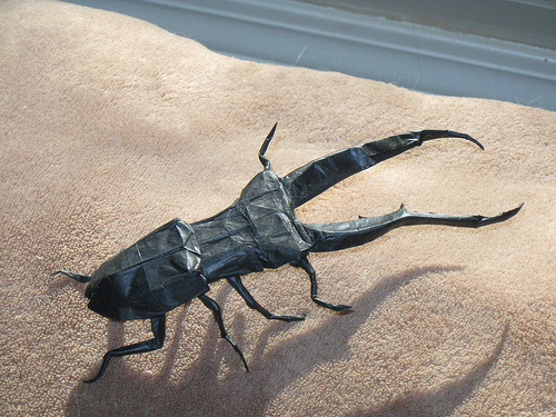 Origami Cyclommatus metalifer Origami Cyclommatus metallifer