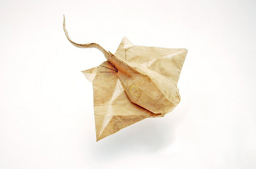Origami Eagle ray Origami Eagle ray