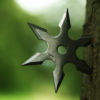 ninja shuriken