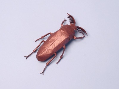 Оригами жук Оригами жук