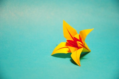 Оригами ирис