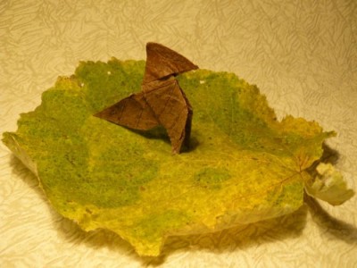 Пахарита, сделанная из ольхового листа