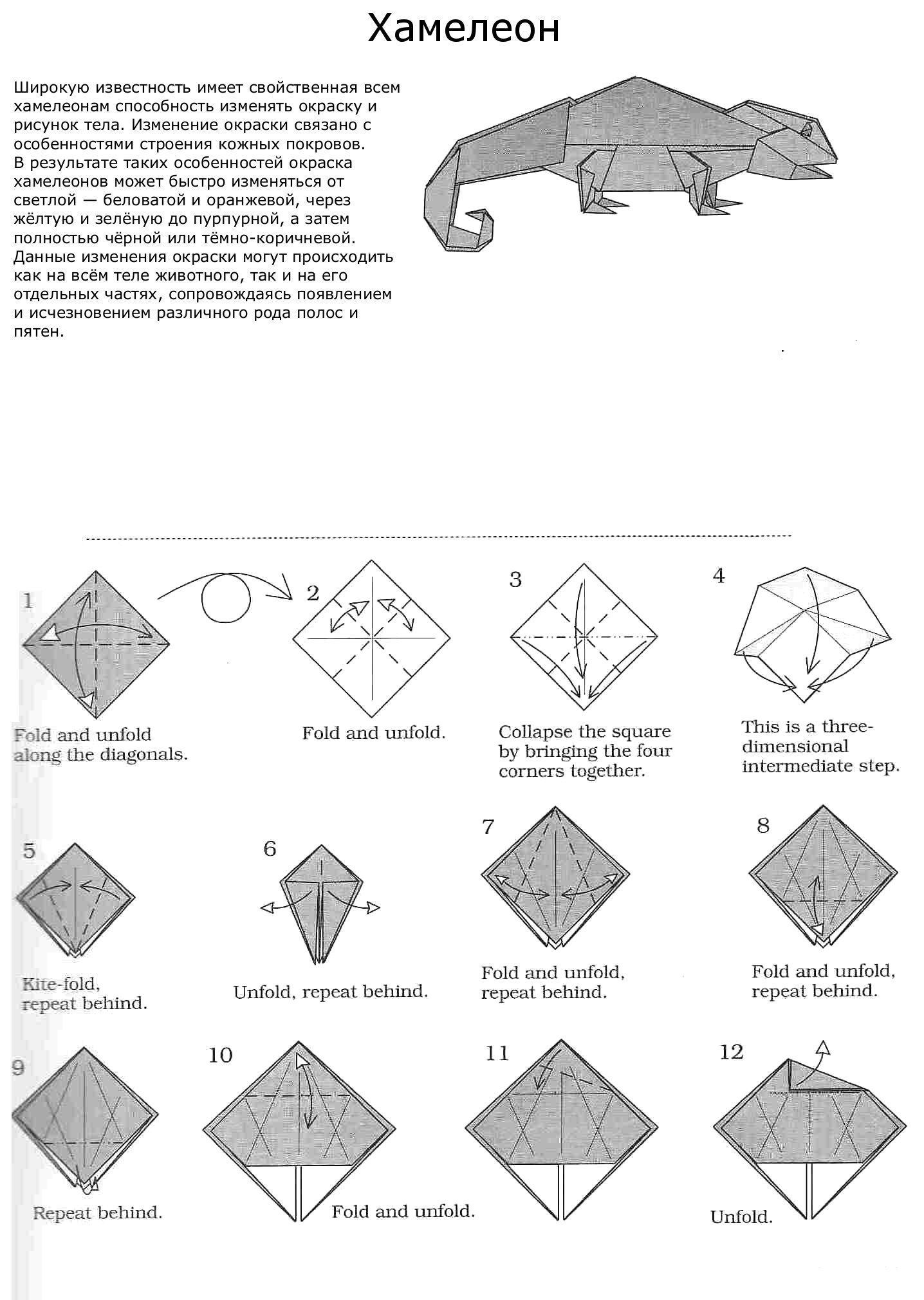 Хамелеон схема. Аксолотль оригами схема. Оригами из бумаги. Оригами схемы. Оригами из бумаги схемы.