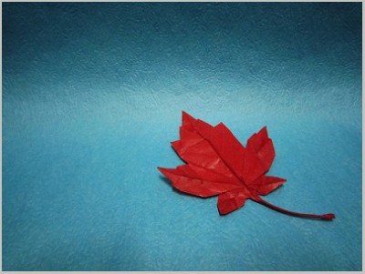 Кленовый лист из цветной бумаги Кленовый лист из цветной бумаги