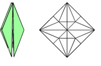 Базовая форма "Двойная птица"
