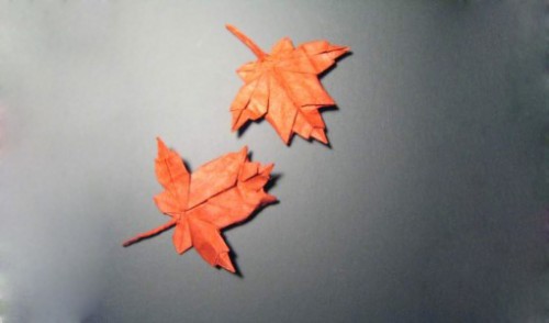 Лист клена по Brian Chan  Лист клена по Brian Chan