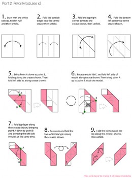 куб-роза схема часть 2