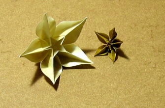 Карамбола от Carmen Sprung