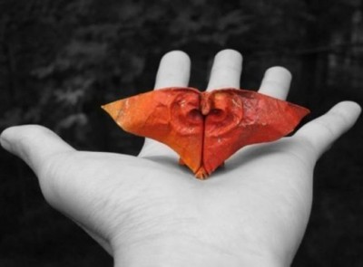 Мастер оригами Dinh Truong Giang