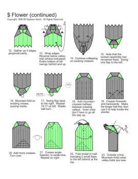 Схема цветка2