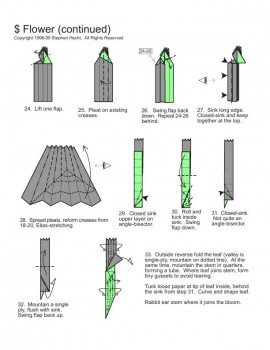 Схема цветка3