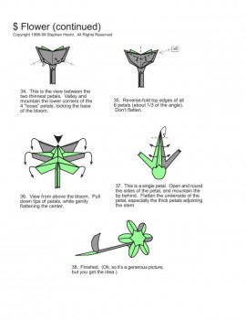 Схема цветка4