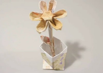 Stephen Hecht цветок