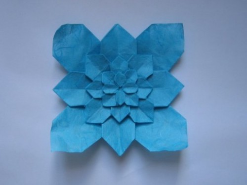 гортензия гортензия