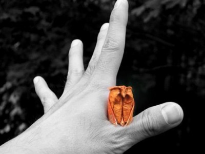 Мастер оригами Dinh Truong Giang