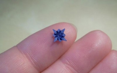 Аня Маркиевич (1) 10 удивительных художников, работающих с бумагой