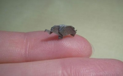 Аня Маркиевич (2) 10 удивительных художников, работающих с бумагой