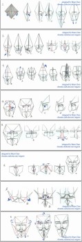 mask-shema mask-shema