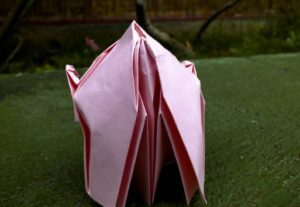 Вид сзади Вид сзади