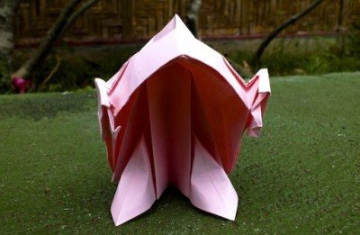 Вид спереди Вид спереди