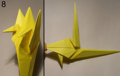 Пеликан схема 8