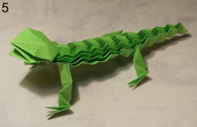 ящерица с ребристой спинкой схема 5 ящерица с ребристой спинкой схема 5