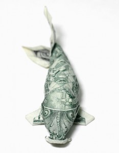 Dollar Fish Dollar Fish