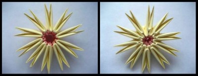 Модульное оригами ромашка схема сборки 3