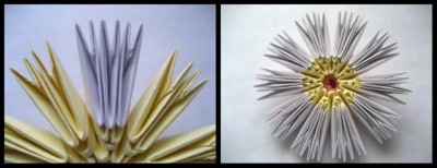 Модульное оригами схемы сборки ромашки 4-5