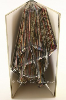 Исаак Салазар книга в качестве холста