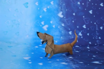 Видео оригами Такса Бассет Хаунд от Quentin Trollip Видео оригами Такса Бассет Хаунд от Quentin Trollip